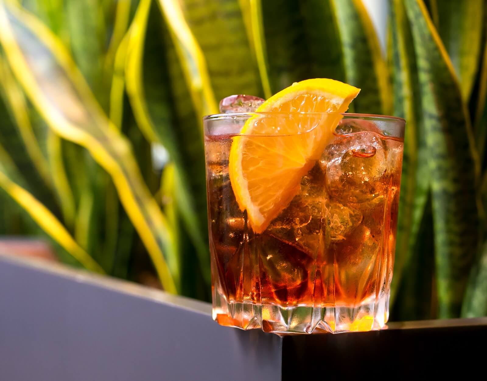 Mate Licor Spritz servido en copa alta con menta y rodaja de naranja